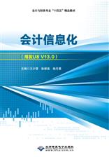 会计信息化